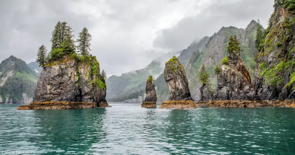 Kenai Fjords National Park Tours